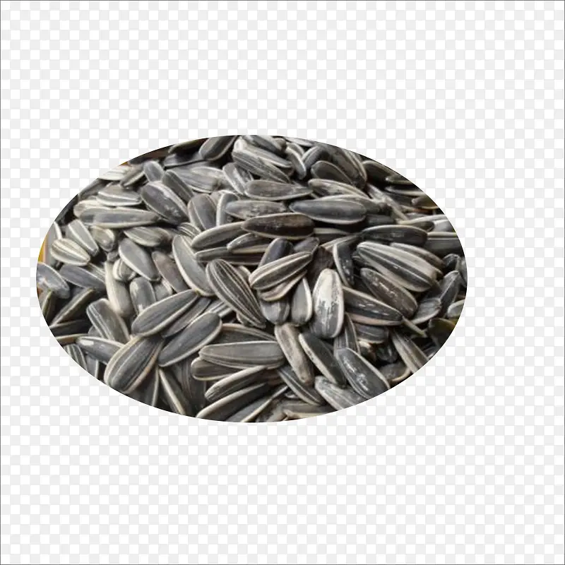 ���ʹ���-������