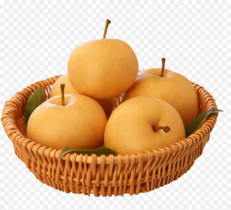 ���ʻƻ���-������