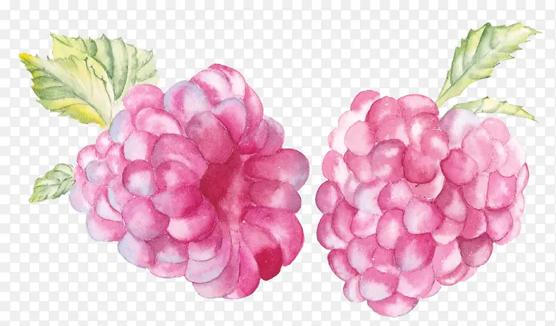 ʳ��廭-������