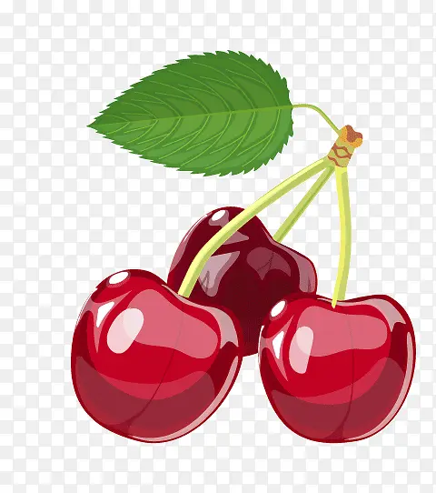 �ֻ�ӣ��-������