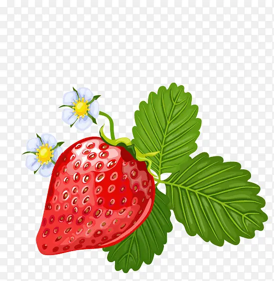 �ֻ��ݮ-������