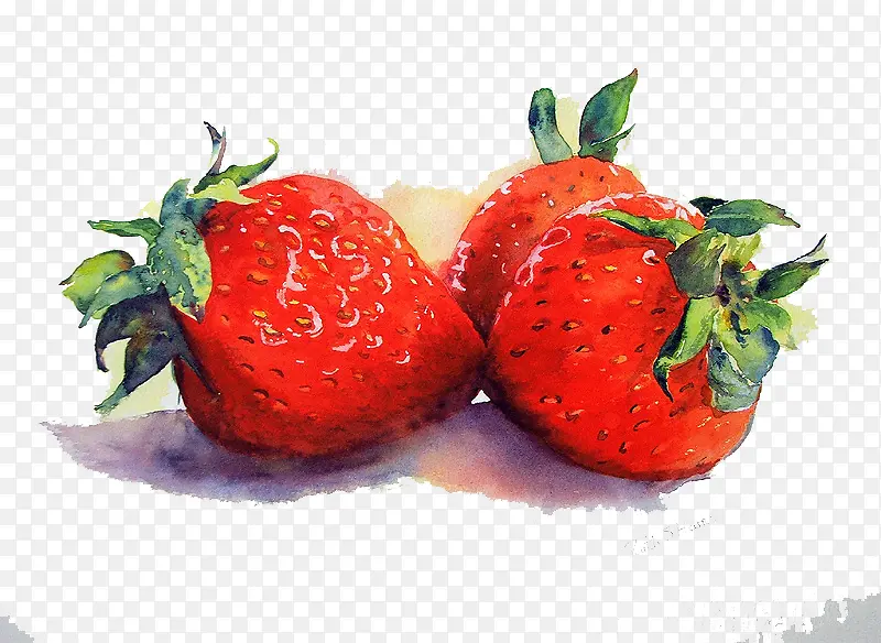 ��ݮ-������