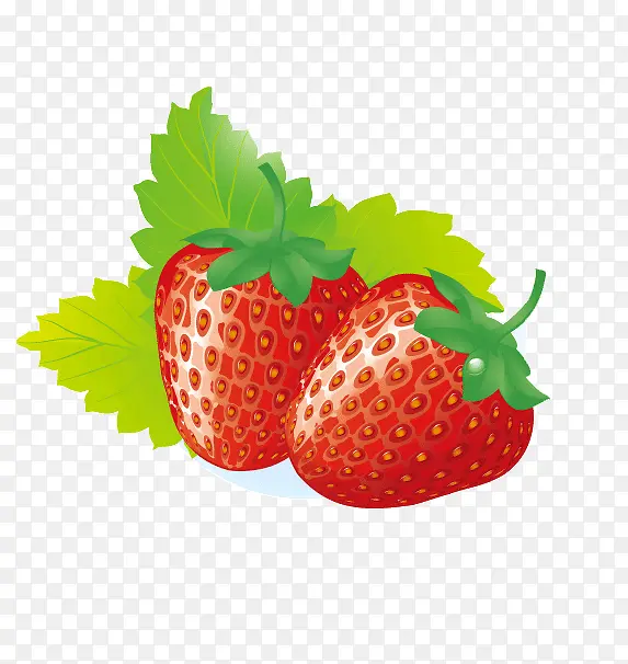 �ֻ��ݮ-������