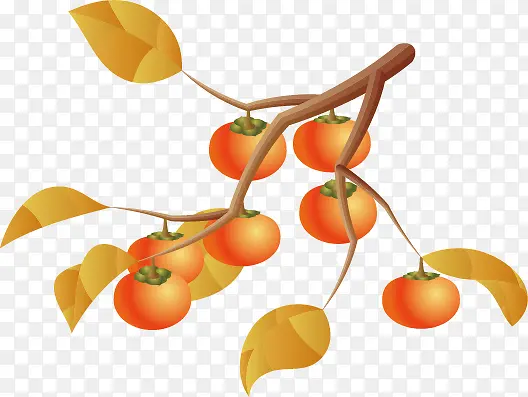 ��ͨˮ��-������