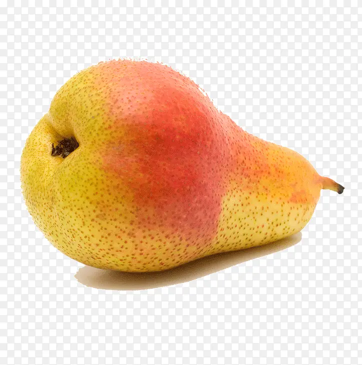 ����ʳ��-������