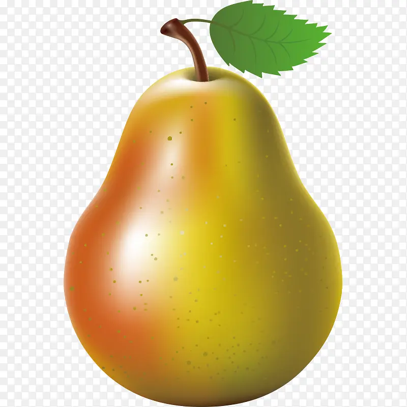 �߲� �߹� �Ϲ� ʳ�� ˮ��-������