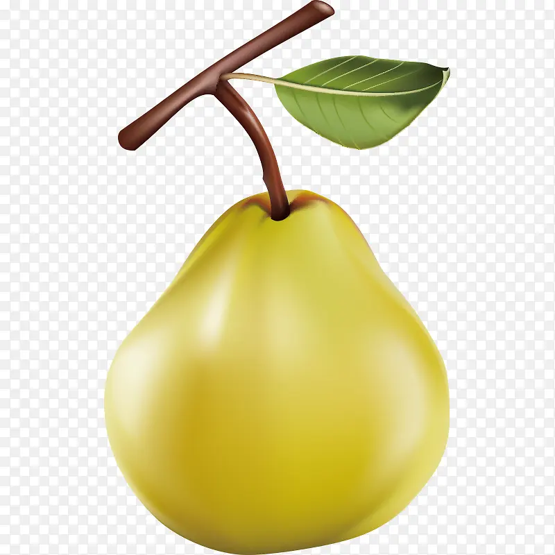 �߲� �߹� �Ϲ� ʳ�� ˮ��-������