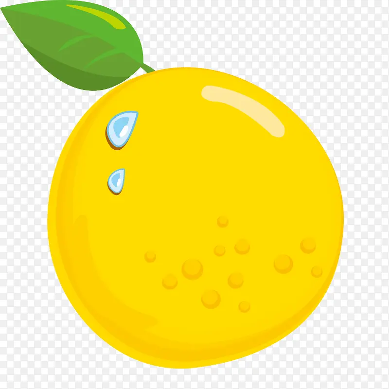 �߲� �߹� �Ϲ� ʳ�� ˮ��-������