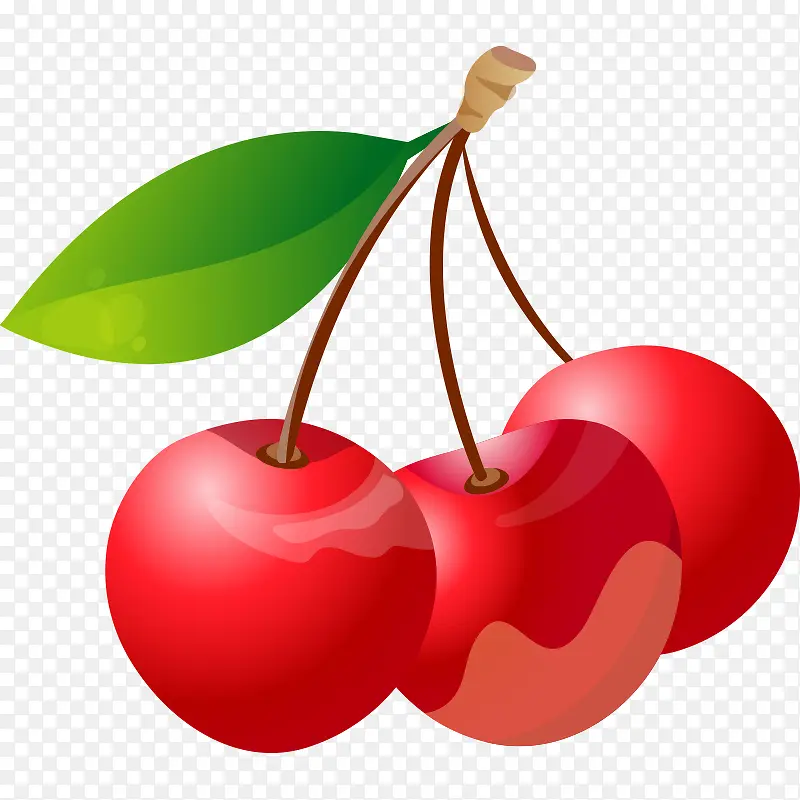 �߲� �߹� �Ϲ� ʳ�� ˮ��-������