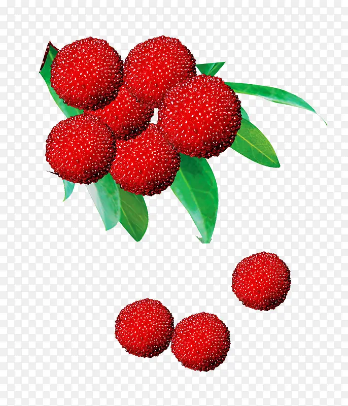 ��÷ˮ���ز�-������