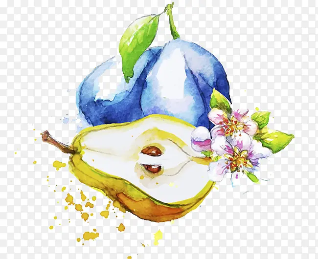 ˮ��ʳ��-������