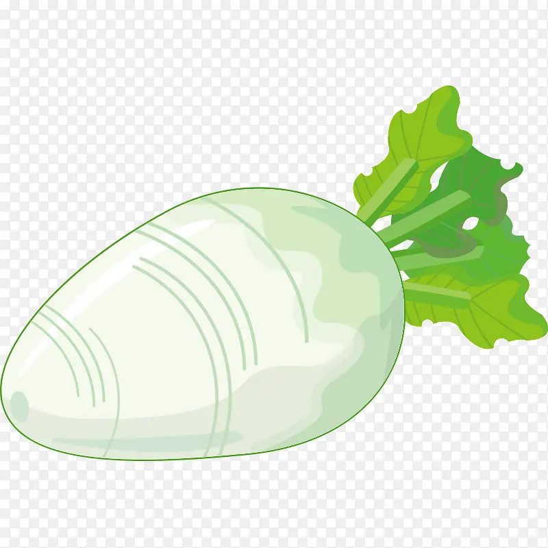 �߲� �߹� �Ϲ� ʳ�� ˮ��-������