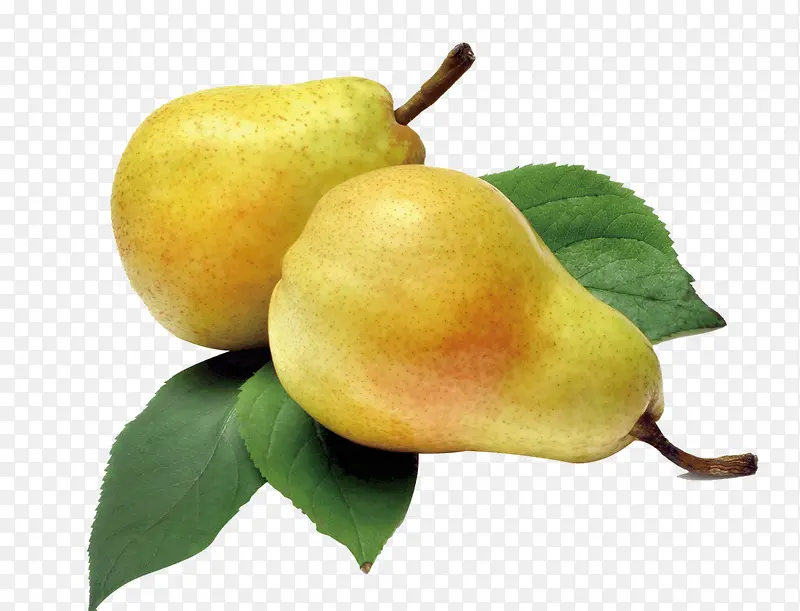 ˮ��ʳ��-������