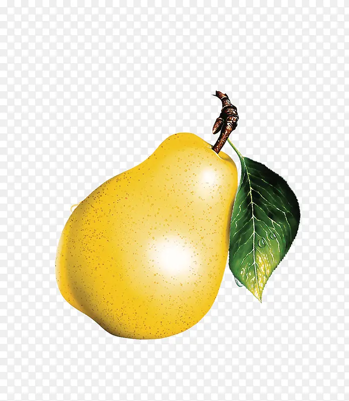 ˮ��ʳ��-������