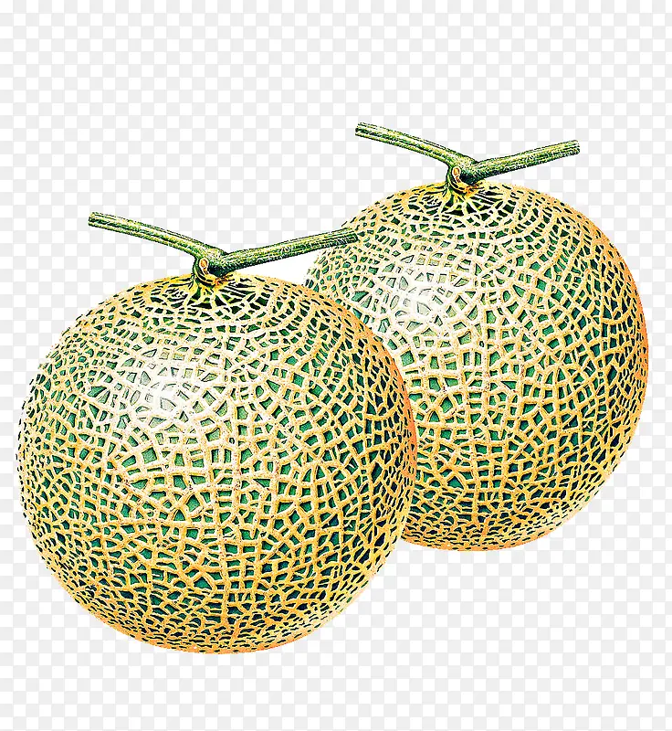 ���ܹ�ˮ��-������