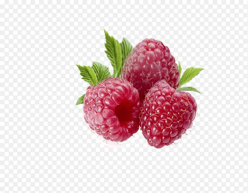 ��ݮˮ��-������