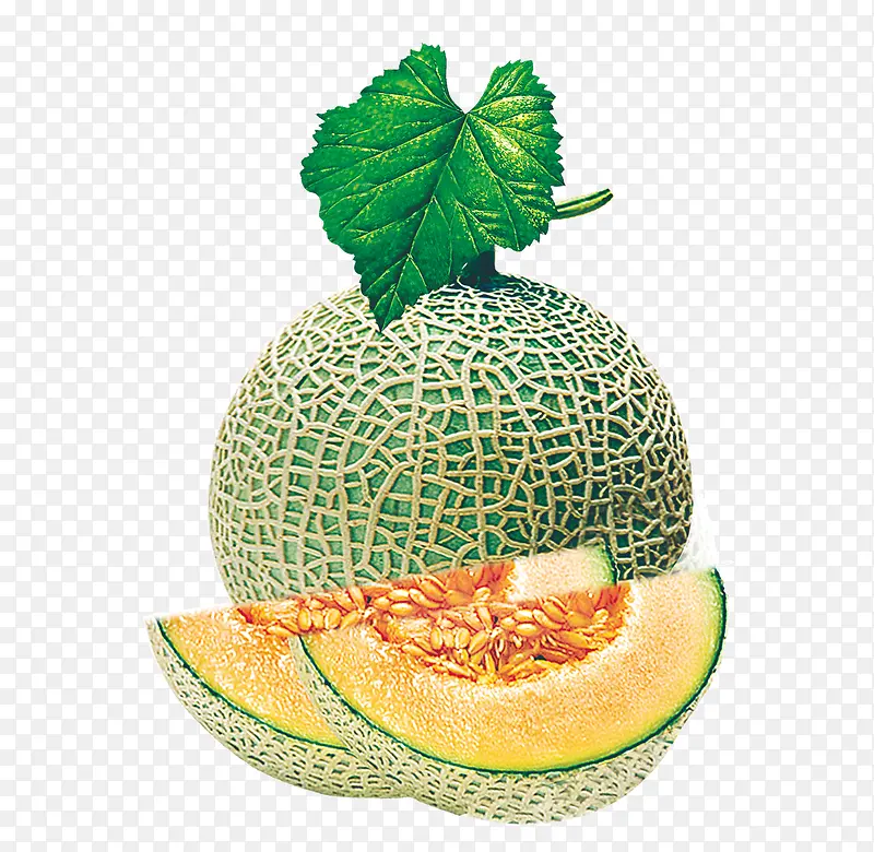 ˮ��ʳ��-������