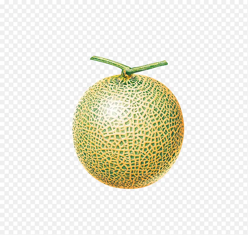 ˮ��ʳ��-������