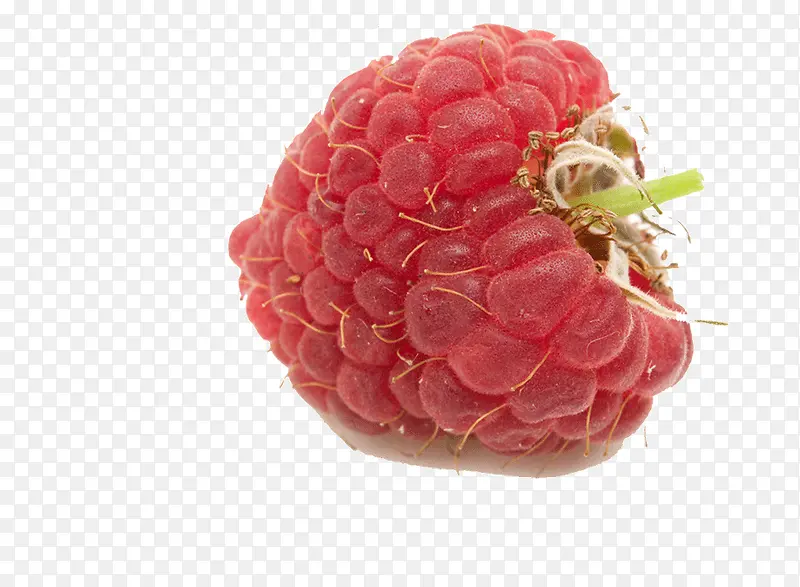 ��ݮˮ��-������