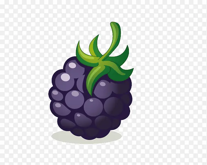 �ֻ���ݮ-������