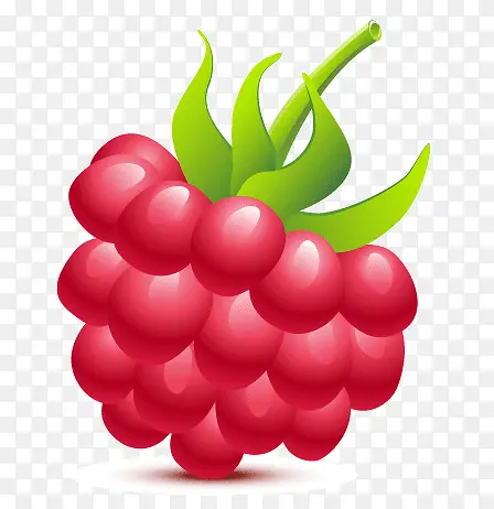 �ֻ���ݮ-������