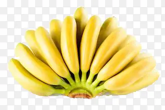 �㽶-������