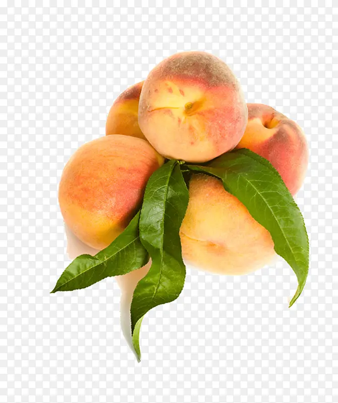 ����ˮ��-������