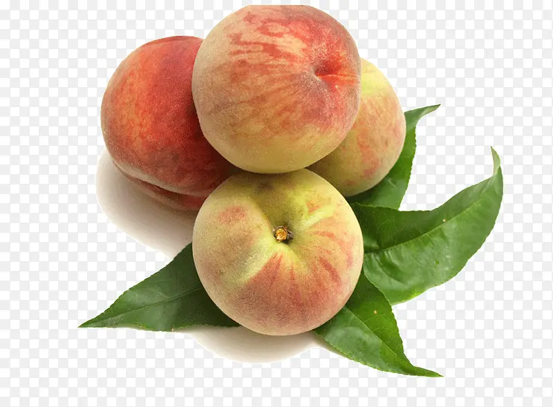 ����ʳ��-������