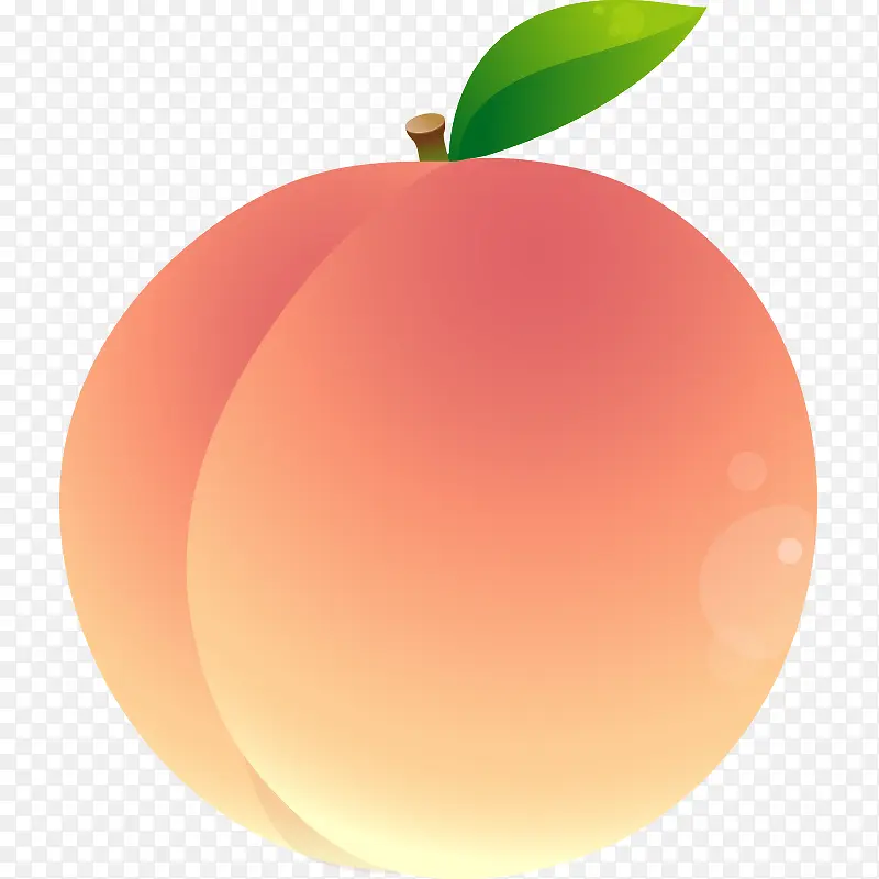 �߲� �߹� �Ϲ� ʳ�� ˮ��-������