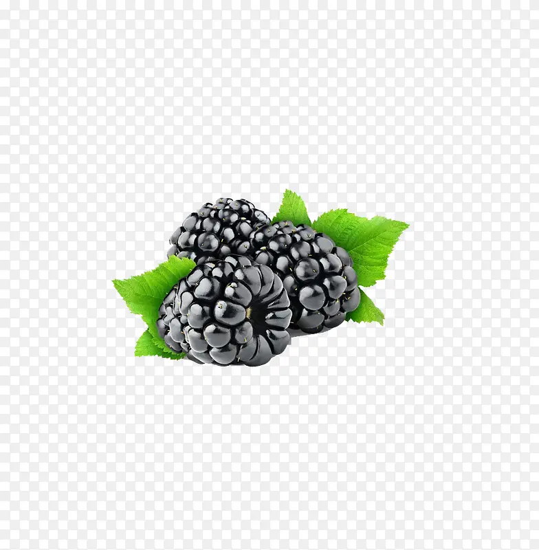 ��Ʒʵ��ʳ��ˮ��ά����Ӫ��ɣ��-������