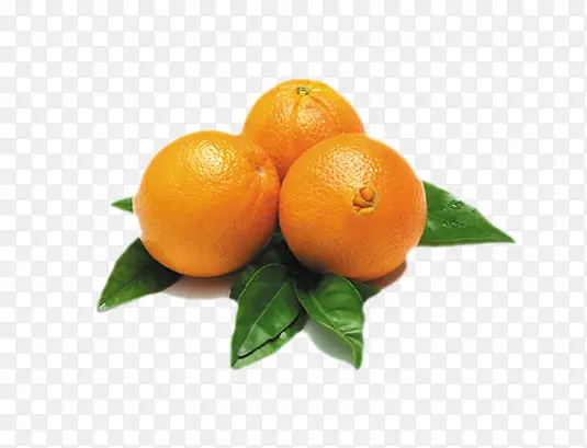 ˮ��ʳ��-������