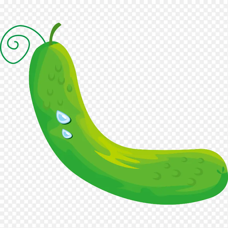 �߲� �߹� �Ϲ� ʳ�� ˮ��-������