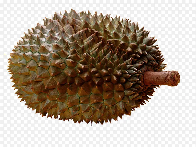 ���� ˮ��  ʳ��-������