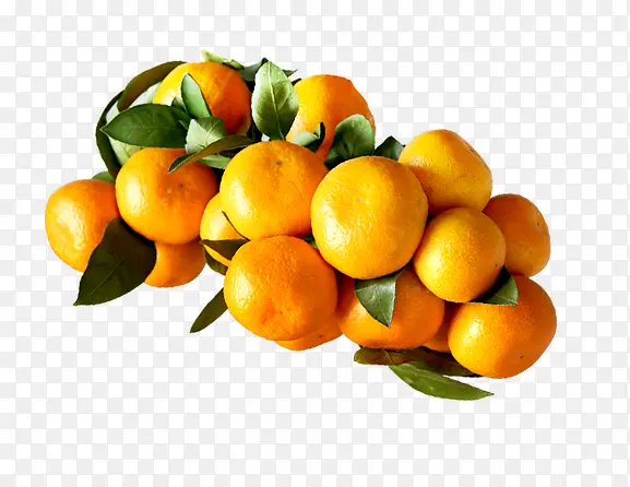 ����ˮ��-������