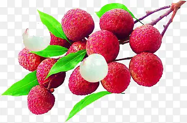 ��֦-������