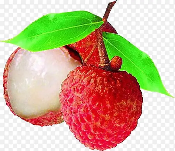 ˮ����֦-������