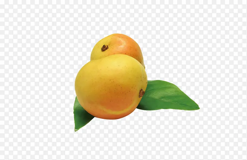 ˮ���߲�-������