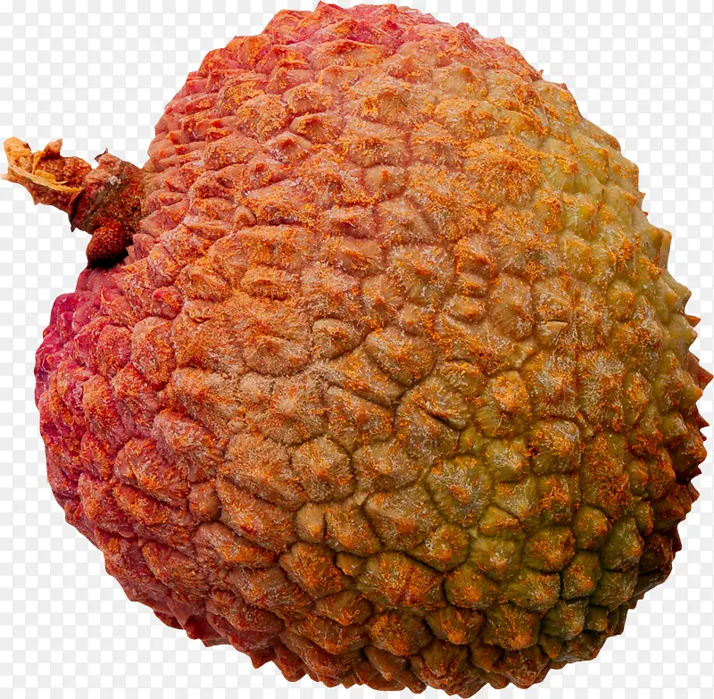 ˮ����֦-������