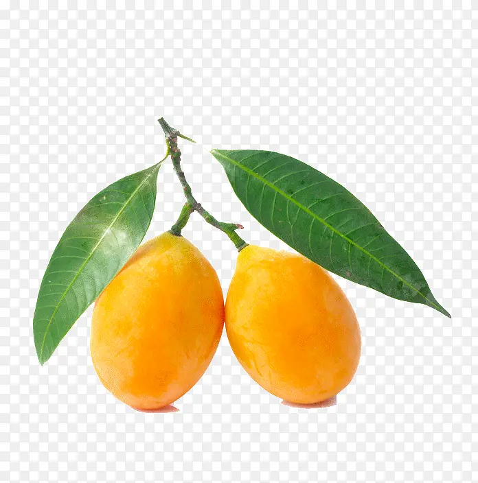 ����ˮ��-������