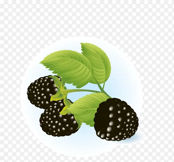 �ֻ�ɣ��-������