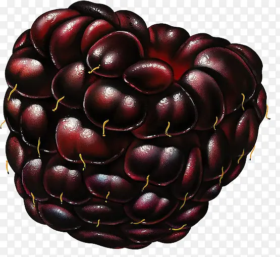 ɣ��-������