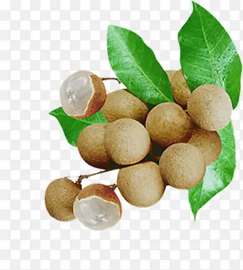 ��Բˮ������ʳ��-������