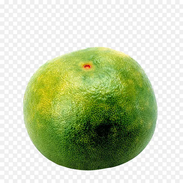 ����ʳ��-������