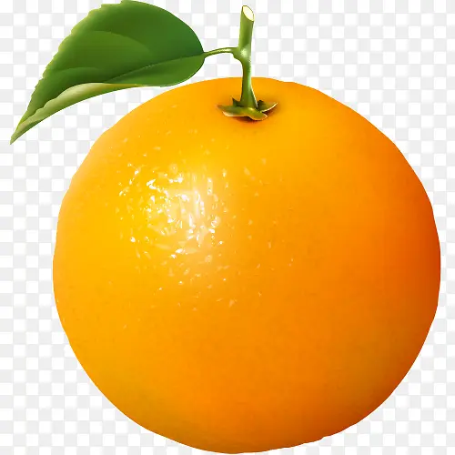 ʳ��-������