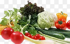 ����ʳ��-������