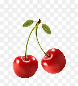 ʳ��-������