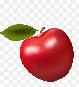 ʳ��-������