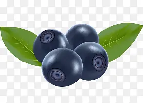 ʳ��-������