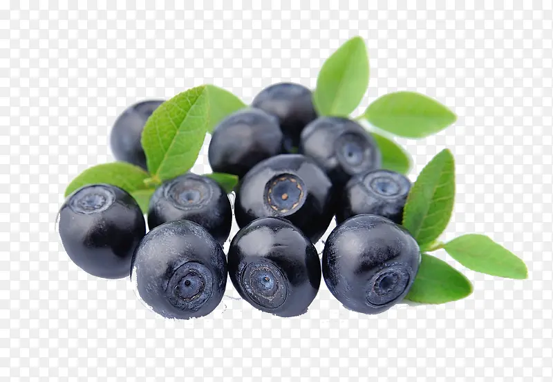 ˮ����ݮ-������