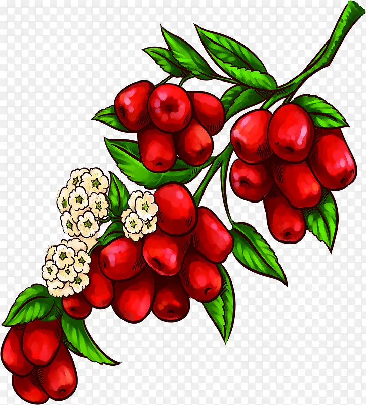 �ϳ��ֻ�����ˮ��ʳ��-������